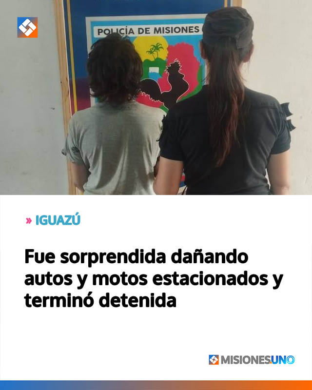 Fue sorprendida dañando autos y motos estacionados y terminó detenida