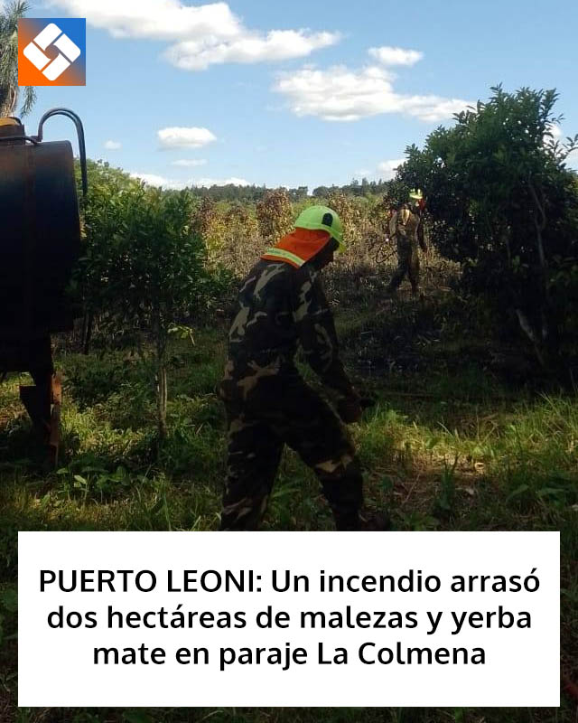 PUERTO LEONI: Un incendio arrasó dos hectáreas de malezas y yerba mate en paraje La Colmena