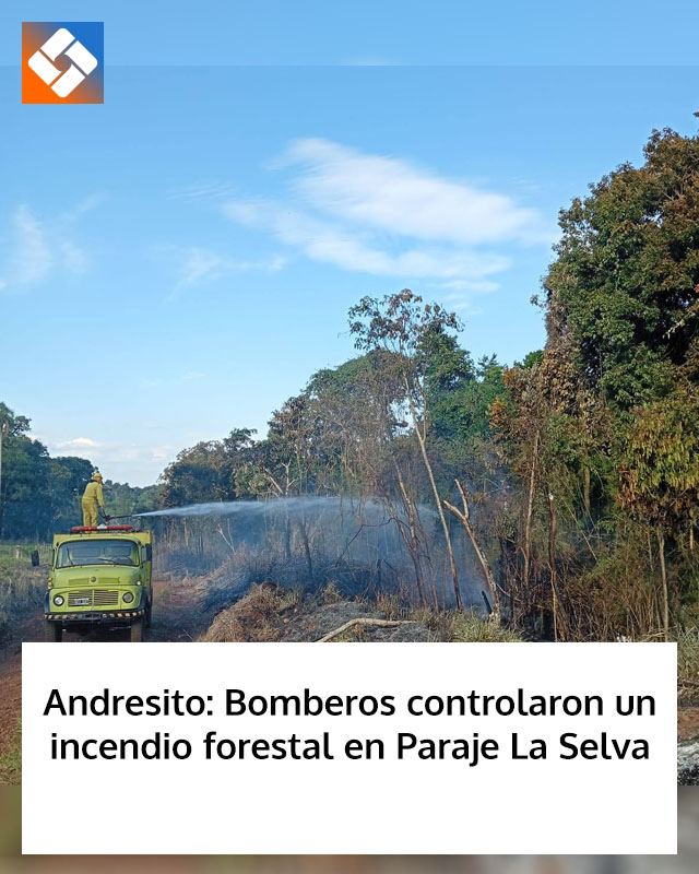 Andresito: Bomberos controlaron un incendio forestal en Paraje La Selva