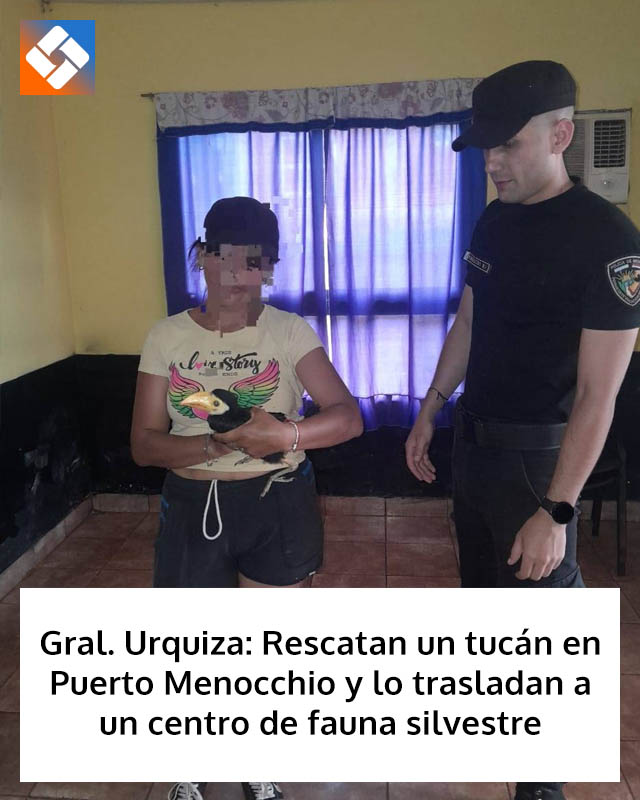 Gral. Urquiza: Rescatan un tucán en Puerto Menocchio y lo trasladan a un centro de fauna silvestre