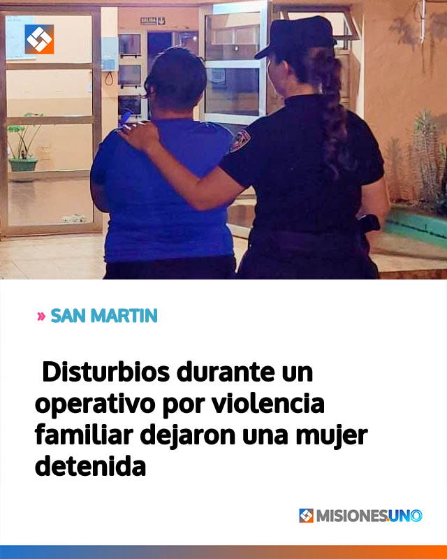 Disturbios durante un operativo por violencia familiar dejaron una mujer detenida